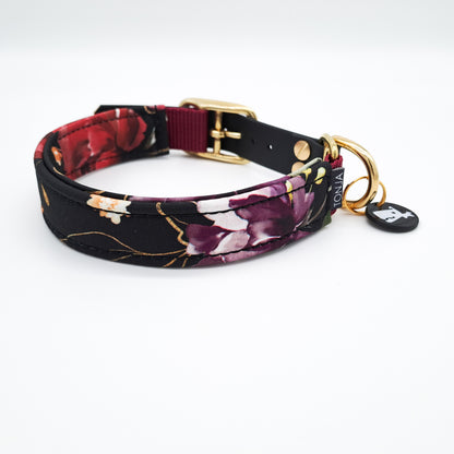 Halsband mit BioThane® Adapter 'Cover IT' [25/40/50mm]