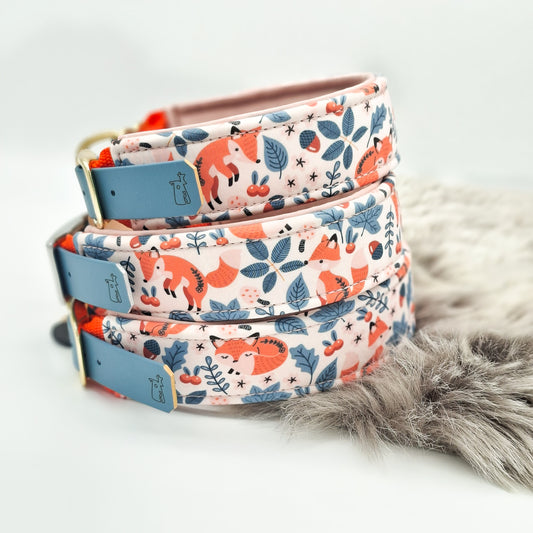 G trifft B 'Softshell' Fuchs