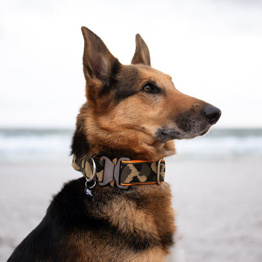 Halsband 'Camouflage' [40mm]