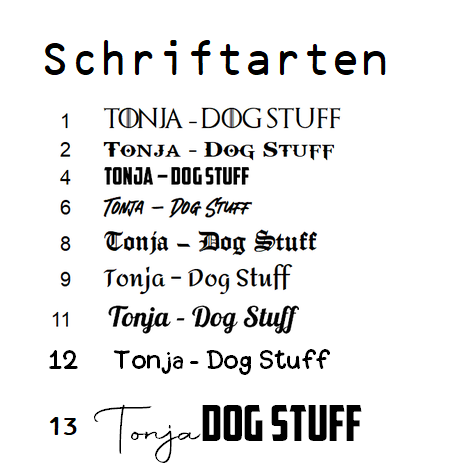 Führleine 'Gurtband' [25mm]