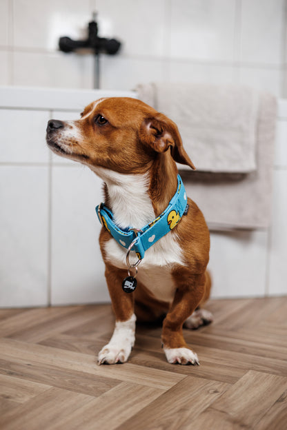 Zugstopphalsband 'Cover IT' [25/30/40/50mm] - Muster komplett